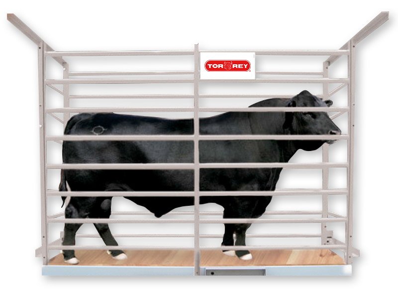 BASCULA GANADERA TORREY PG-2000 CON MODULO WI