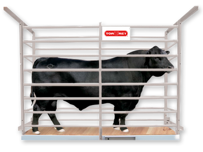 BASCULA GANADERA TORREY PG-2000 CON MODULO WI