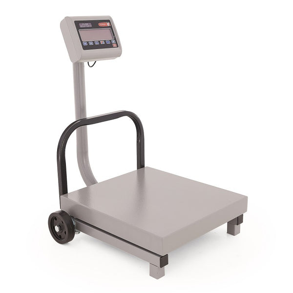 BASCULA DE RECIBO TORREY 500 Kg. FS500/1000