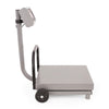 BASCULA DE RECIBO TORREY 500 Kg. FS500/1000