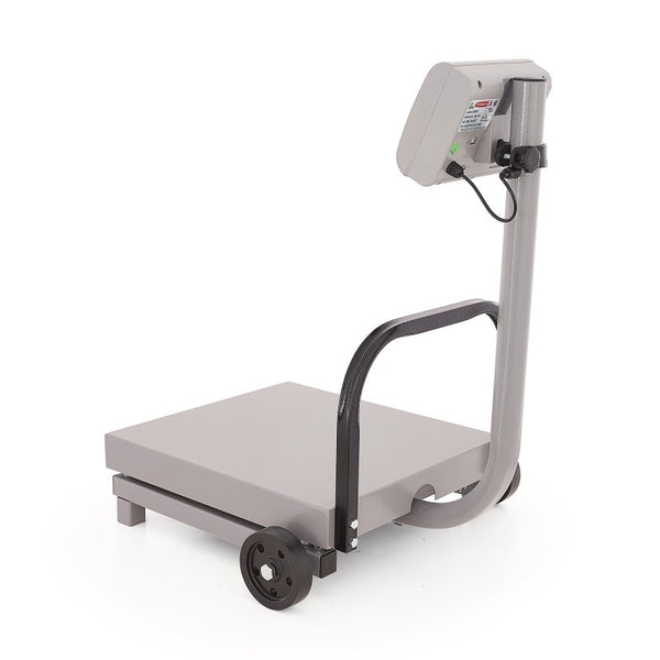 BASCULA DE RECIBO TORREY 500 Kg. FS500/1000