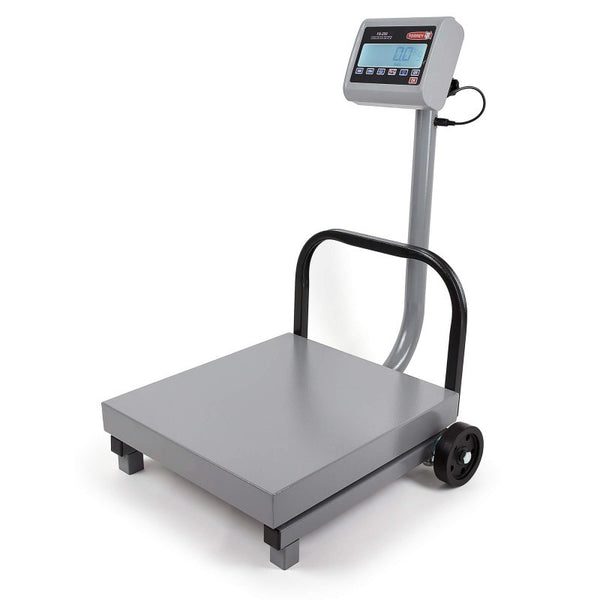 BASCULA DE RECIBO TORREY 250 Kg. FS250/500