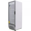 REFRIGERADOR IMBERA VR25 BLANCO